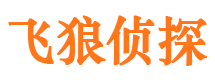 安塞侦探